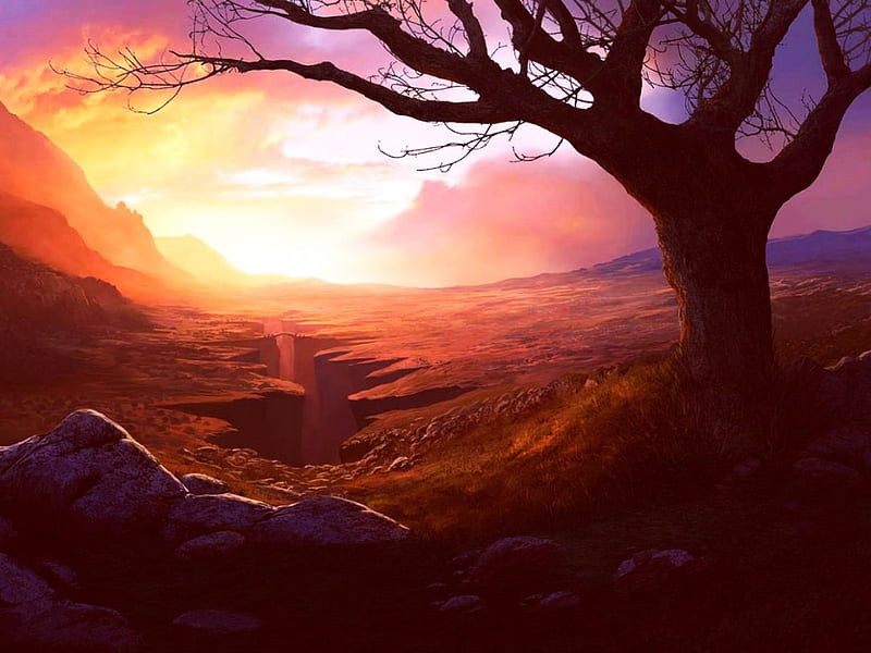 The Divide, tree, fantasy, sunset, crevice, landscape, HD wallpaper