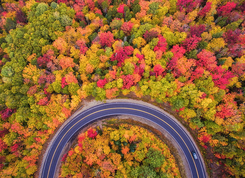 Aerial Autumn, Fall, USA, Forest, Trees, Autumn, New Hampshire, HD wallpaper
