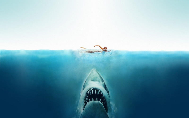 Jaws-Just when you thought it was safe, to go back into the water., windows, people, entertainment, technology, movies, other, HD wallpaper
