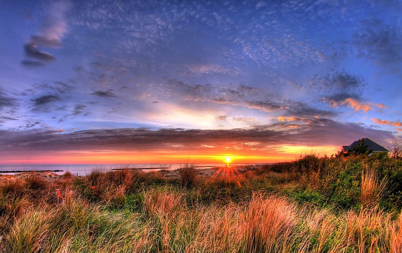 most beautiful sunrise r, beach, grass, hose, r, sunrise, clouds, sea, HD wallpaper