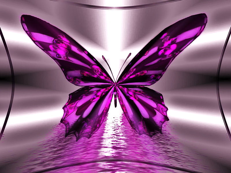 Wings and silver, silver, glimmer, butterfly reflections, light, HD wallpaper