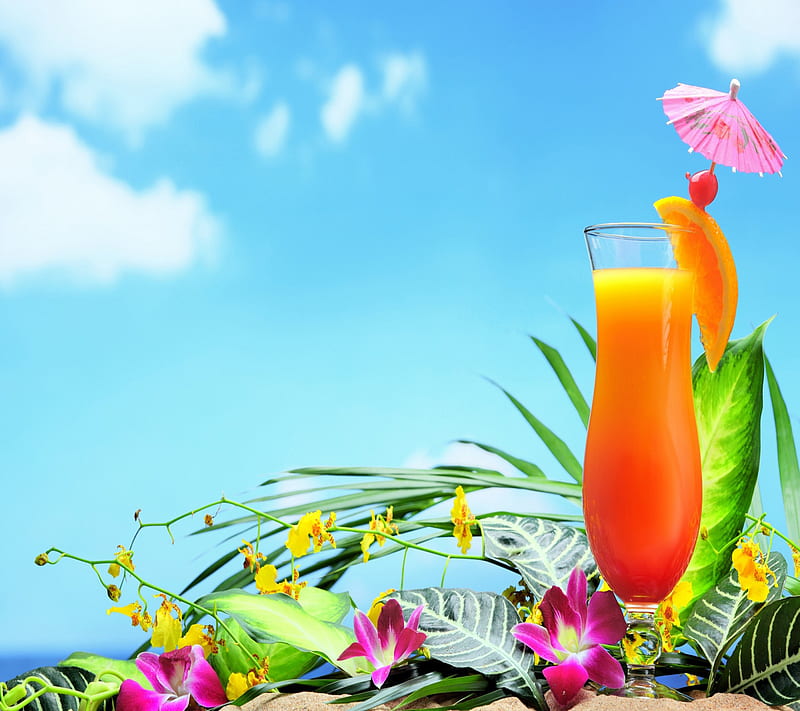 Summer Cocktail, HD wallpaper | Peakpx