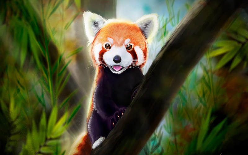Red Panda Anime Art 2019 Featured, HD wallpaper
