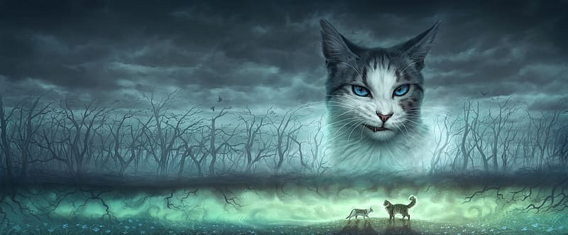 Warrior Cats Wallpapers Bluestar - Wallpaper Cave