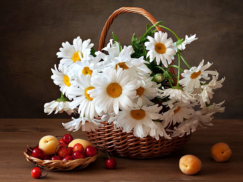 Still Life, with love, pretty, fruits, cherries, yellow, bonito, sweet, graphy, peaches, flowers, beauty, for you, lovely, romantic, white flowers, romance, daisies, basket, nature, petals, white, daisy, cherry, HD wallpaper