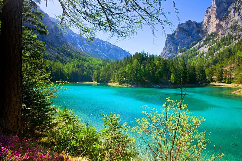 Green Lake, Alps, forest, Austria, turquoise water, bonito, trees, lake, mountains, flowers, Gruner See, HD wallpaper