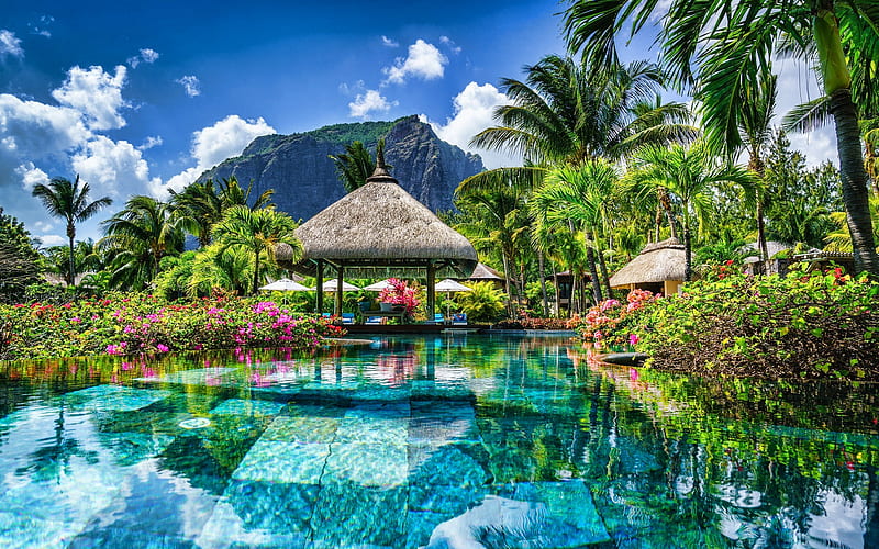 Mauritius, resort, hotel, summer, blue pool, water, palms, R, HD wallpaper