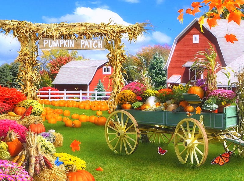 Pumpkin Patch, fall season, autumn, harvest, love four seasons, birds, farms, butterflies, attractions in dreams, paintings, wagon, flowers, nature, butterfly designs, pumpkins, HD wallpaper