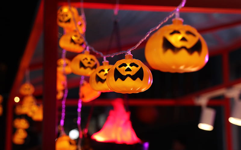 Halloween 2019 Pumpkin Lantern Decoration Night, HD wallpaper