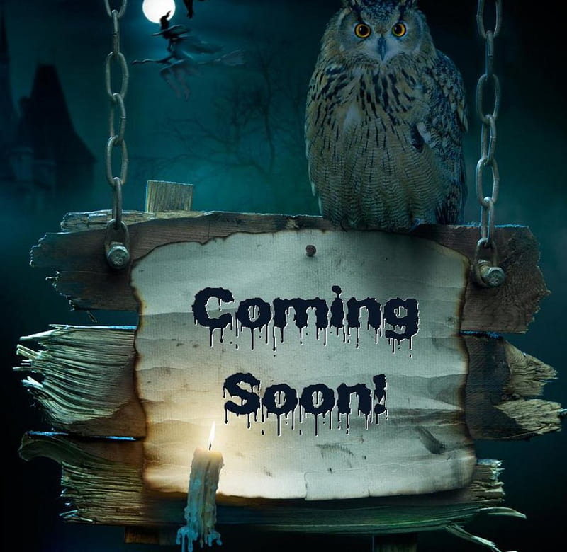 COMING SOON, owl, soon, halloween, coming, HD wallpaper