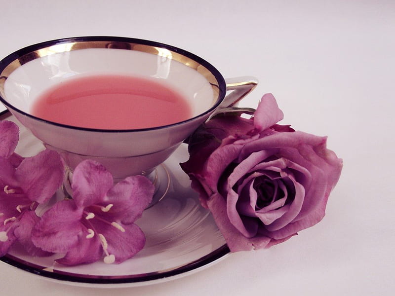 A cup of Roses, glass, pretty, purple, cup, roses, fregrance, HD