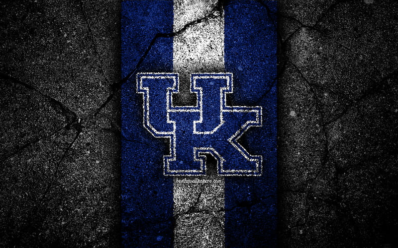 Kentucky Wildcats american football team, NCAA, blue white stone, USA, asphalt texture, american football, Kentucky Wildcats logo, HD wallpaper