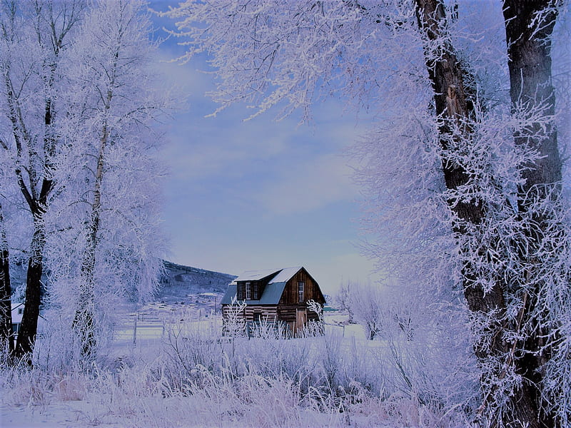 Icy Winters, pretty, rural, house, country, winter, icy, nature, white, blue, HD wallpaper