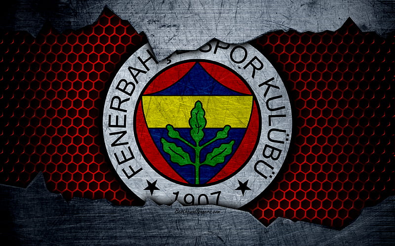Fenerbahce logo, Super Lig, soccer, football club, grunge, Fenerbahce FC, art, metal texture, HD wallpaper