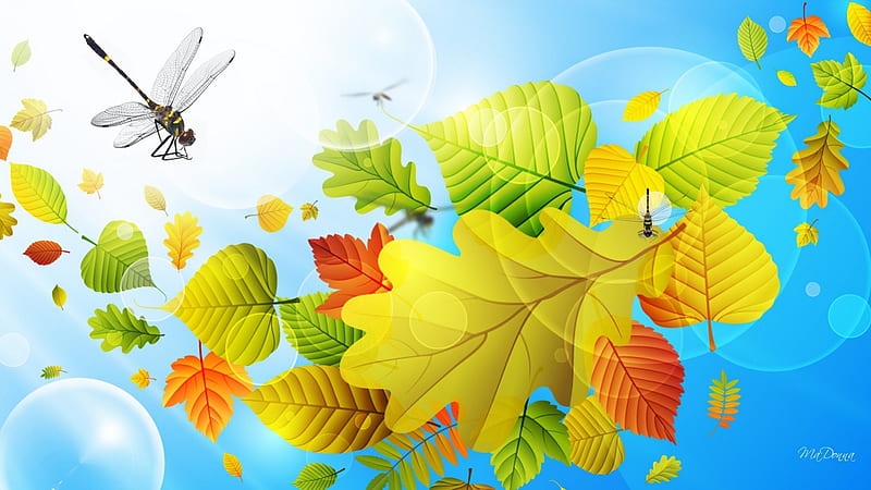 Scatter of Leaves, fall, autumn, maple, wind, breeze, mountains ash, abstract, sky, leaf, leaves, dragonflies, bubbles, dragonfly, oak, light, blue, HD wallpaper