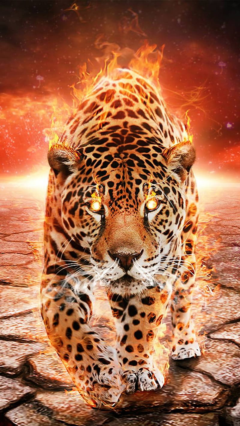 Big, cats, jaguar, HD phone wallpaper | Peakpx