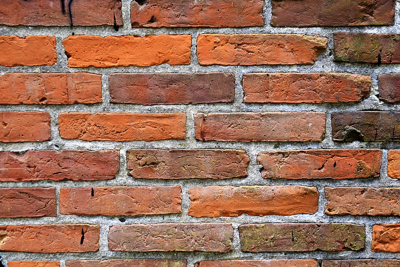 brick, wall, texture, HD wallpaper