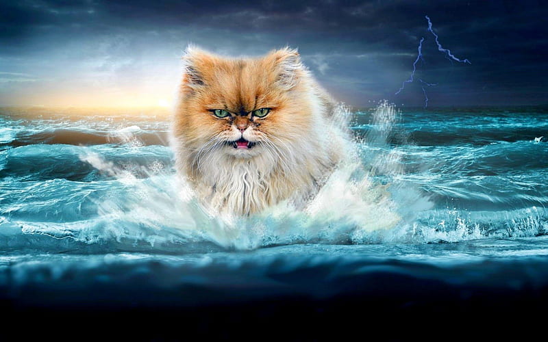 THUNDER CAT, lightning, ocean, waves, cat, storm, HD wallpaper