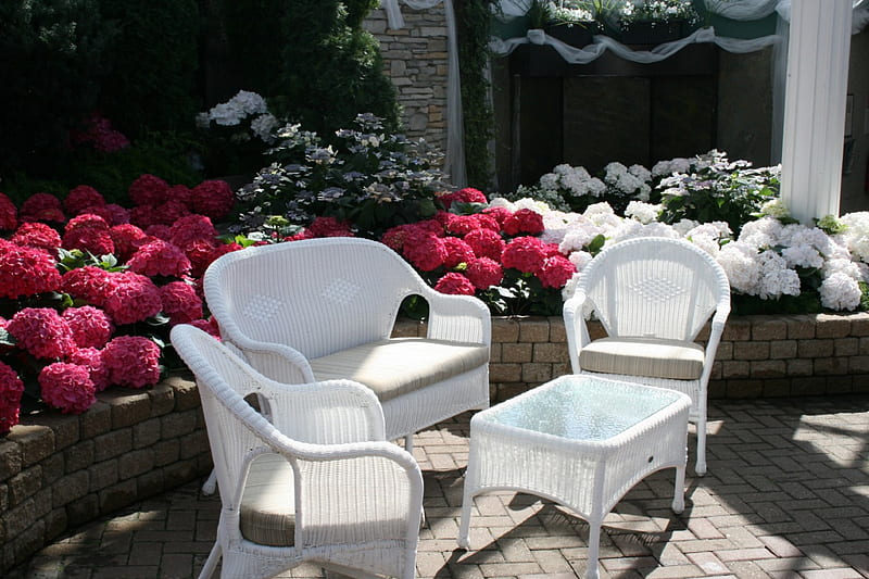 A Flower cannot blossom without Sunshine 20, table, red, graphy, chairs, garden, Flowers, white, Hydrangeas, HD wallpaper