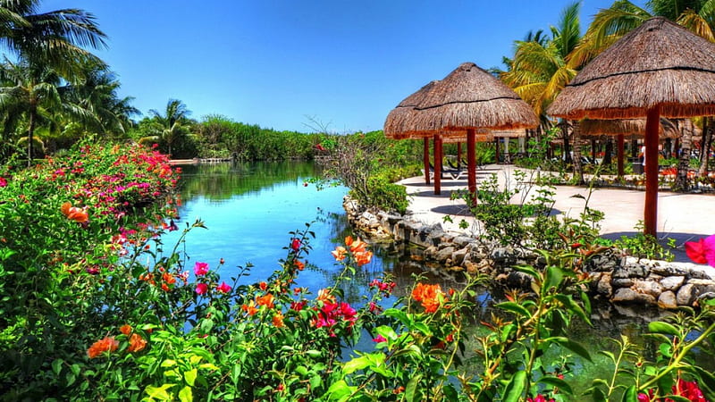Tropical Garden, gardens, nature, tropical, beach huts, HD wallpaper