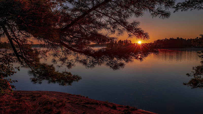 Earth, Sunset, Branch, Evening, Lake, Pine Tree, Twilight, HD wallpaper