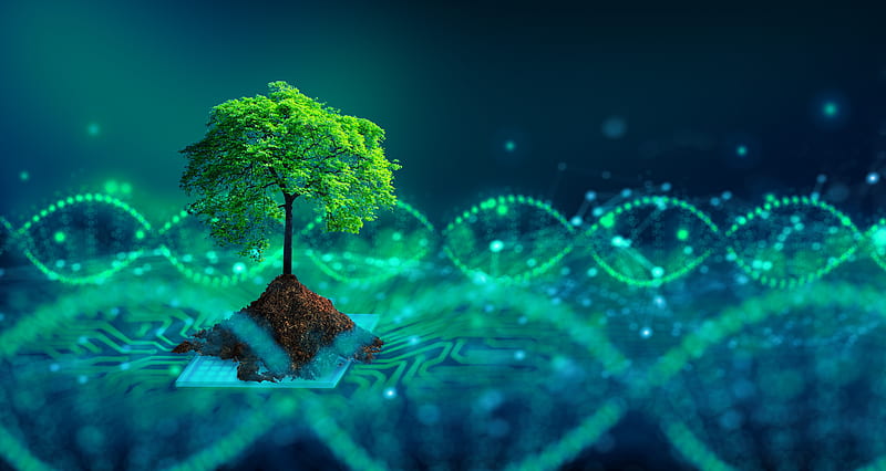 Artistic, Tree, DNA Structure, HD wallpaper