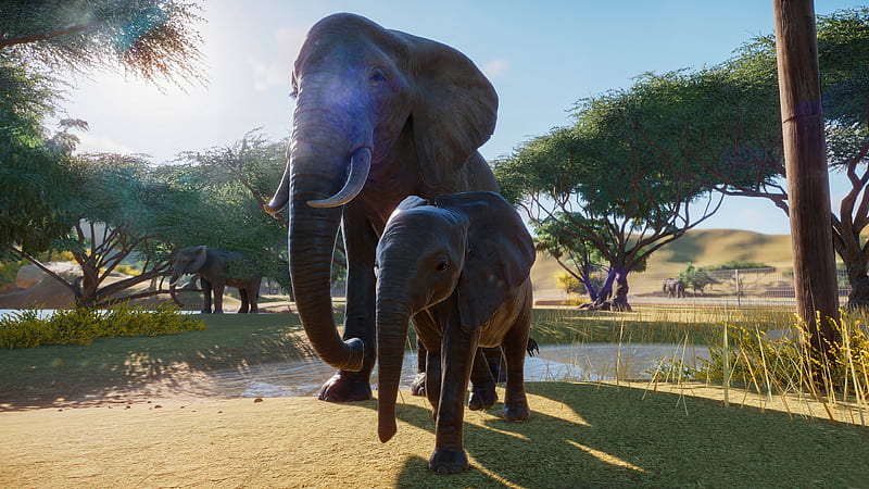 Planet Zoo, E3 2019, screenshot, HD wallpaper
