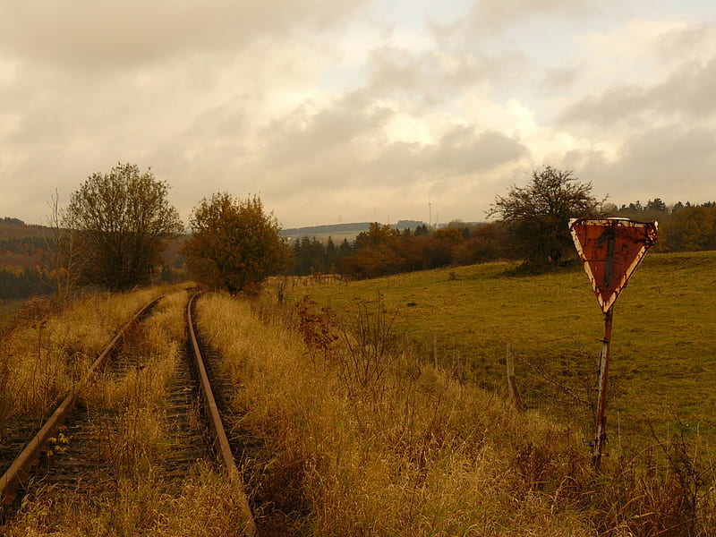 Old Railway, gold, railroad tracks, sign, sky, field, landscape, HD wallpaper
