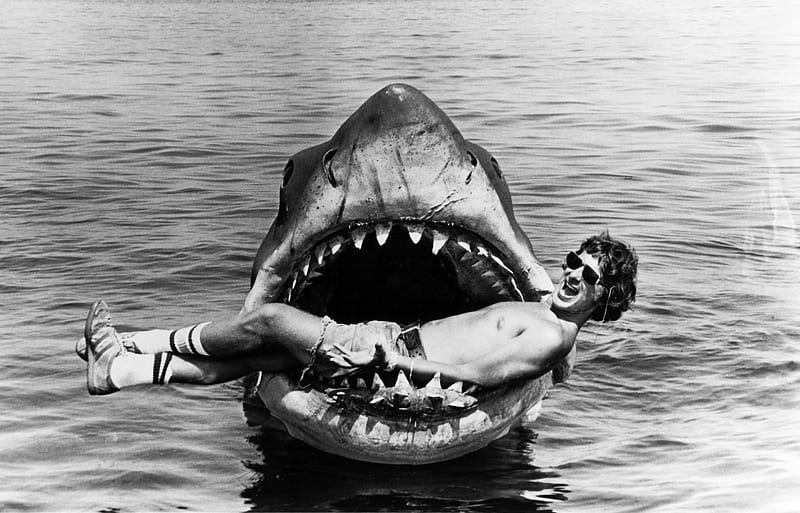 Jaws (Steven Spielberg), Spielberg, Jaws, Shark, Movie, HD wallpaper