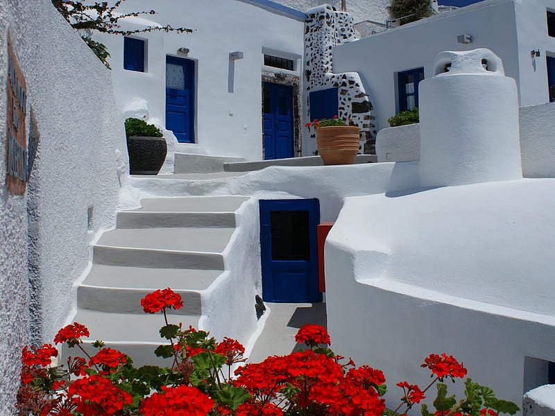 Oia island house, greece, oia, santorini, flowers, stairs, island, white, blue, HD wallpaper