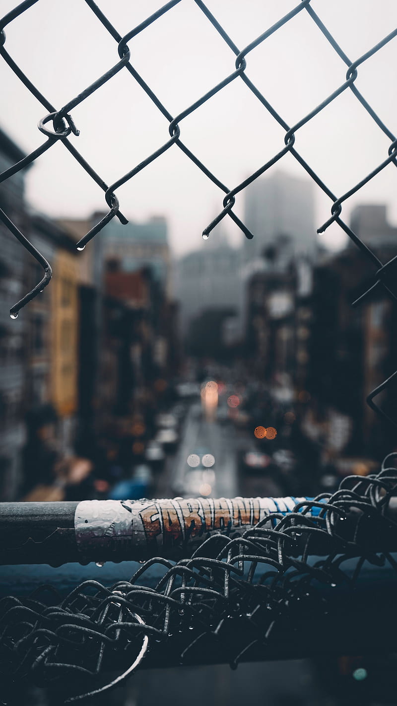1000 Fencing Pictures  Download Free Images on Unsplash