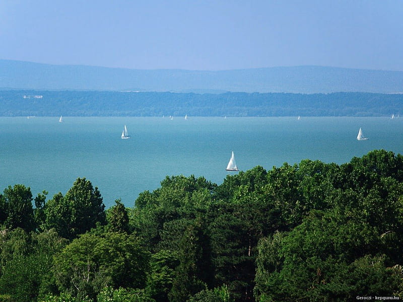 View for the Lake Balaton (Hungary), Mountain, Lake, Forest, Nature, HD wallpaper