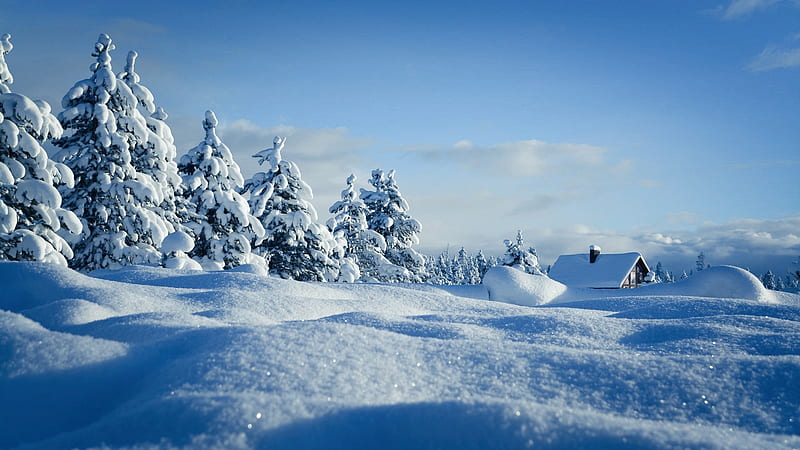 Snowy fields, nature, snow, winter, field, HD wallpaper
