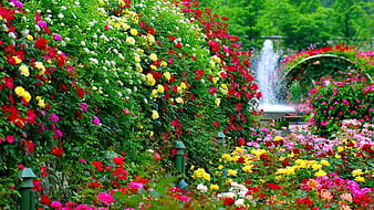 HD garden scenery wallpapers