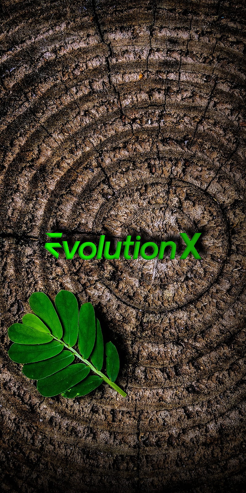 Evolution wood , evox, iphone, leaves, oneplus, texture, HD phone wallpaper