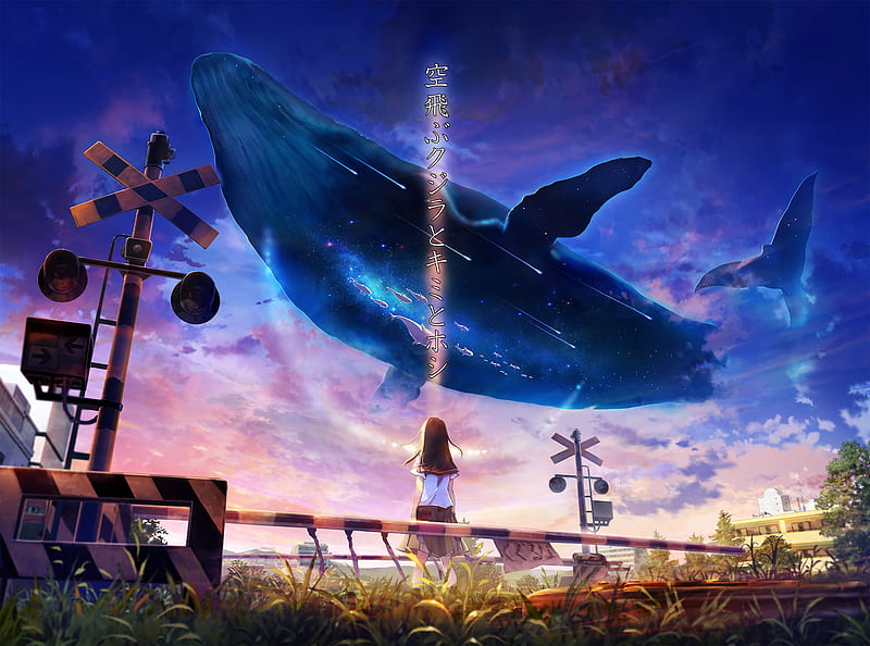 Anime, Original, Girl, Sky, Whale, HD wallpaper