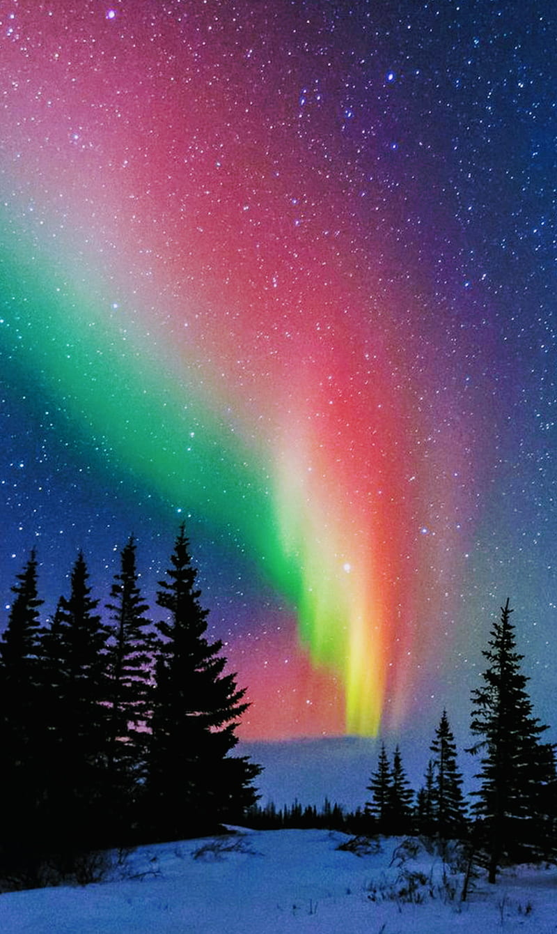 Northern Lights, aurora, cold, cute, nebula, nebulae, night, pretty, winter, HD phone wallpaper