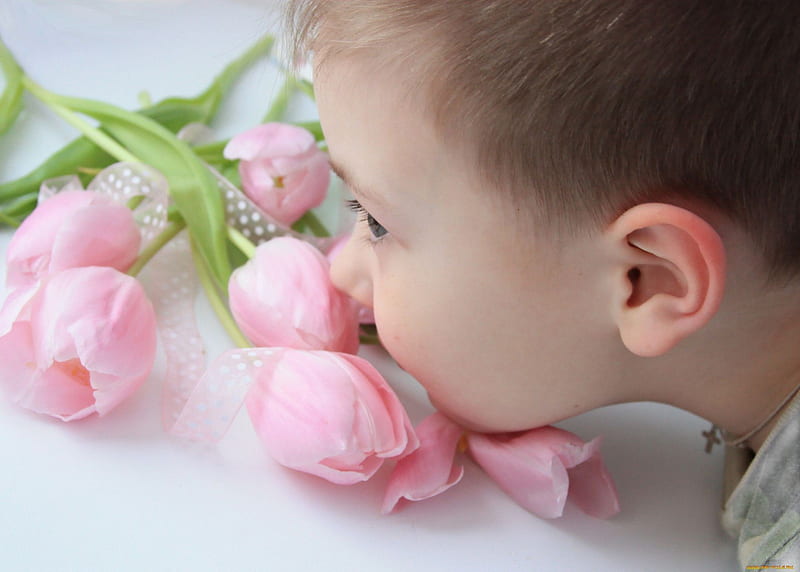 Happy Birtay, SunShine! (✿◠‿◠), JACQELINEla, special day, pink tulips, boy, bouquet, love, flowers, child, for you, HD wallpaper
