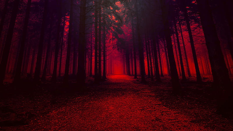 Forest With Trees In Red Effect Red Aesthetic, HD wallpaper