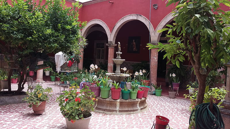 El patio jardin, flowers, garden, patios, plants, HD wallpaper