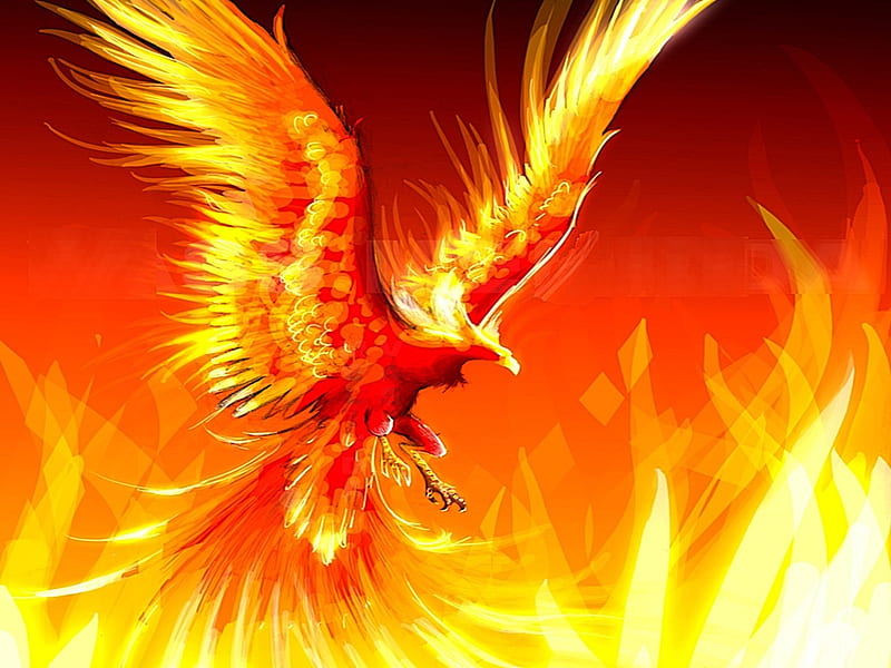 Phoenix, bird, fire, orange, hop, red, HD phone wallpaper | Peakpx