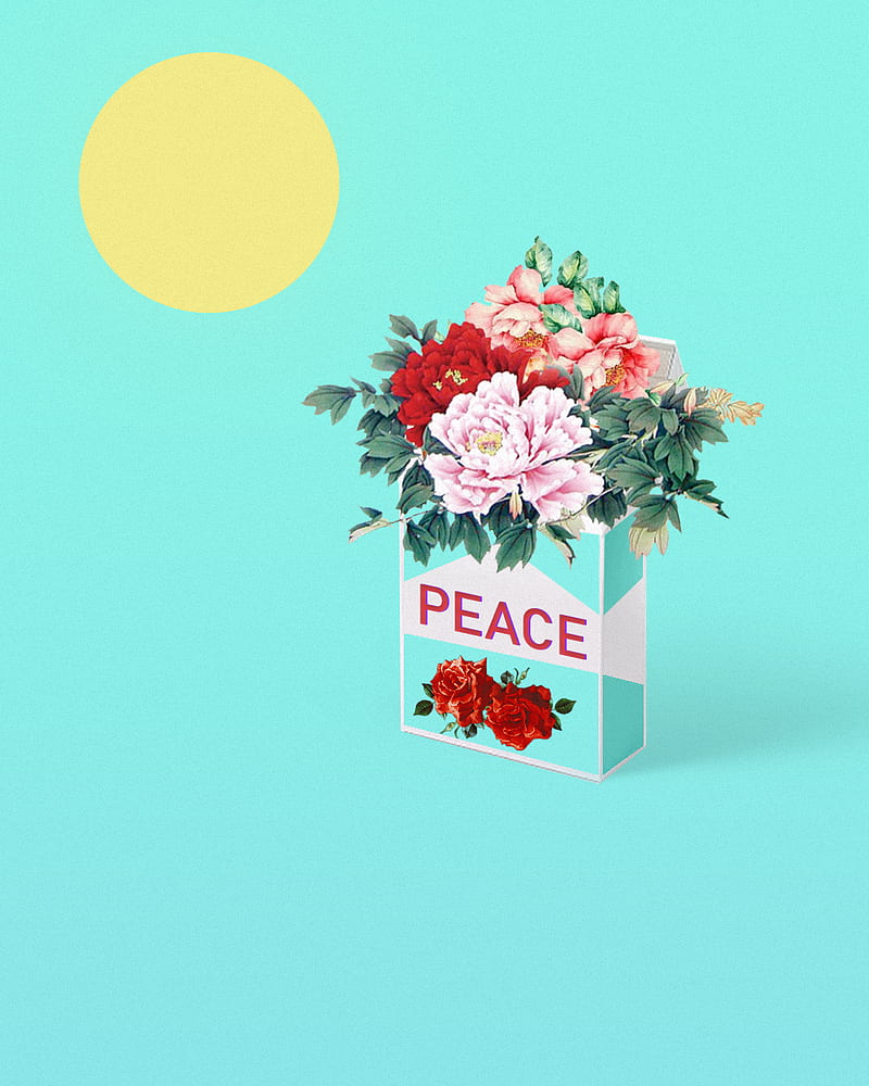 flowers, peace, rose, Sun, cigarettes, floral, hop, yellow, cyan, HD phone wallpaper