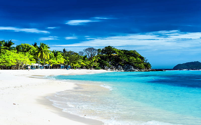 Malcapuya island, tropical island, summer, white sand, beach, palm trees, Philippines, HD wallpaper