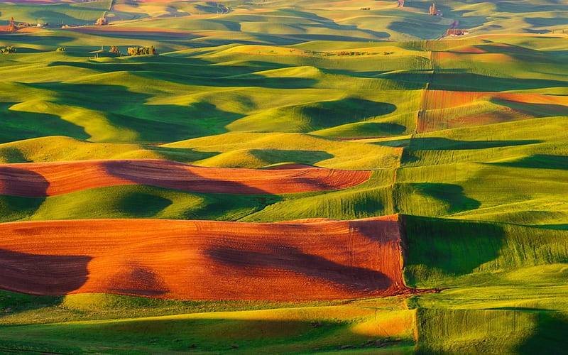 Steptoe Butte State Park United States, United States, green, orange, Steptoe Butte State Park, landscape, HD wallpaper