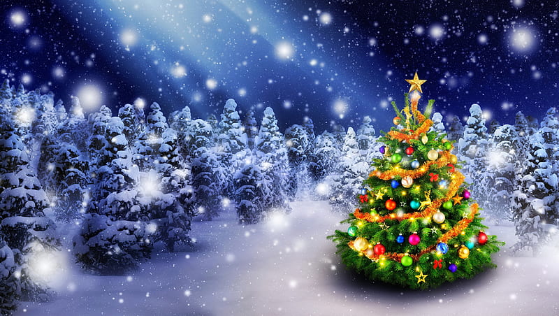 COLORFUL of XMAS TREE, holidays, Christmas Tree, love four seasons ...