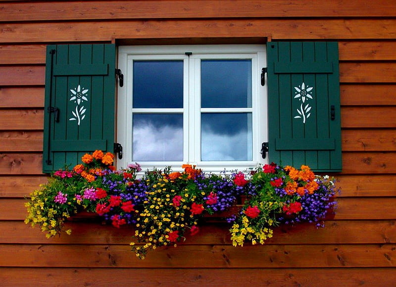 Window flowers, rustic, pretty, rural, colorful, house, cozy, lovely, window, view, home, bonito, freshness, countryside, nice, flowers, HD wallpaper