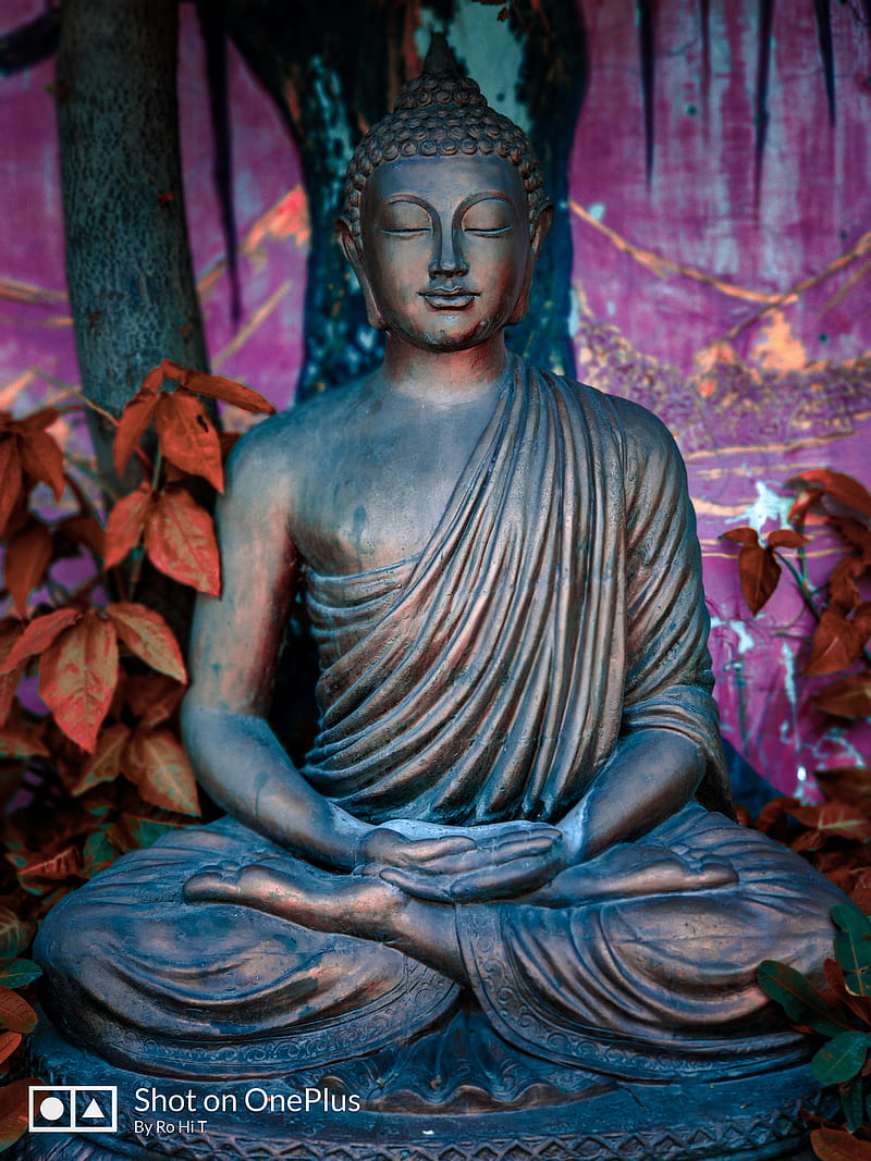 Budhha statue, gautam budhha, HD phone wallpaper