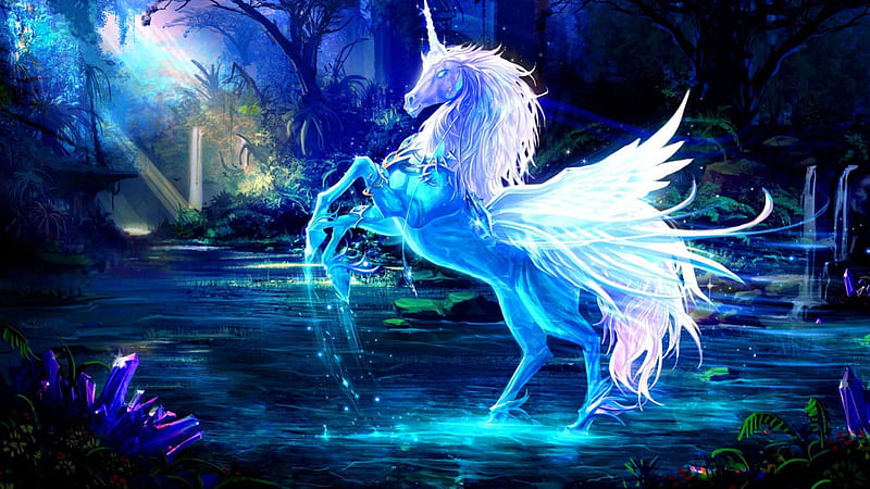 unicorn, wings, horse, night, HD wallpaper