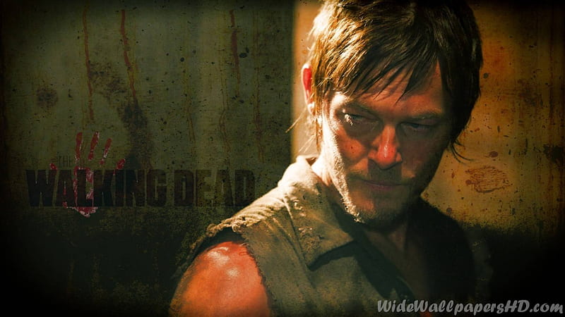 Daryl {The Walking Dead}, Norman Reedus, TV series, entertainment, The Walking Dead, Daryl Dixon, HD wallpaper