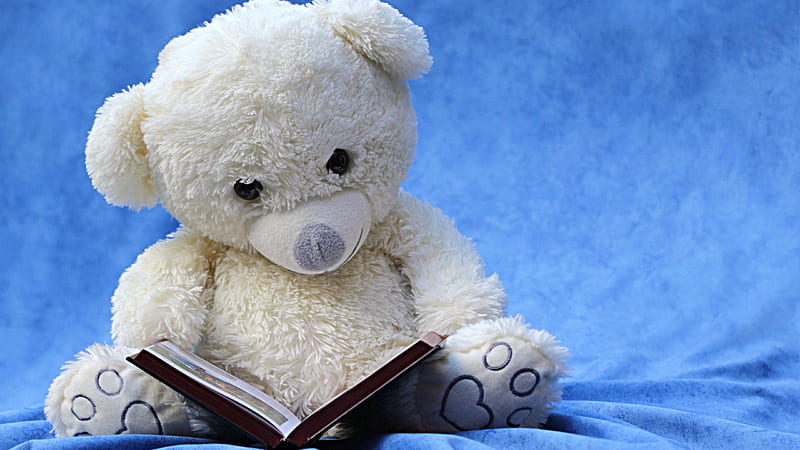Teddy Bear With Open Book In Blue Background Teddy Bear, HD wallpaper